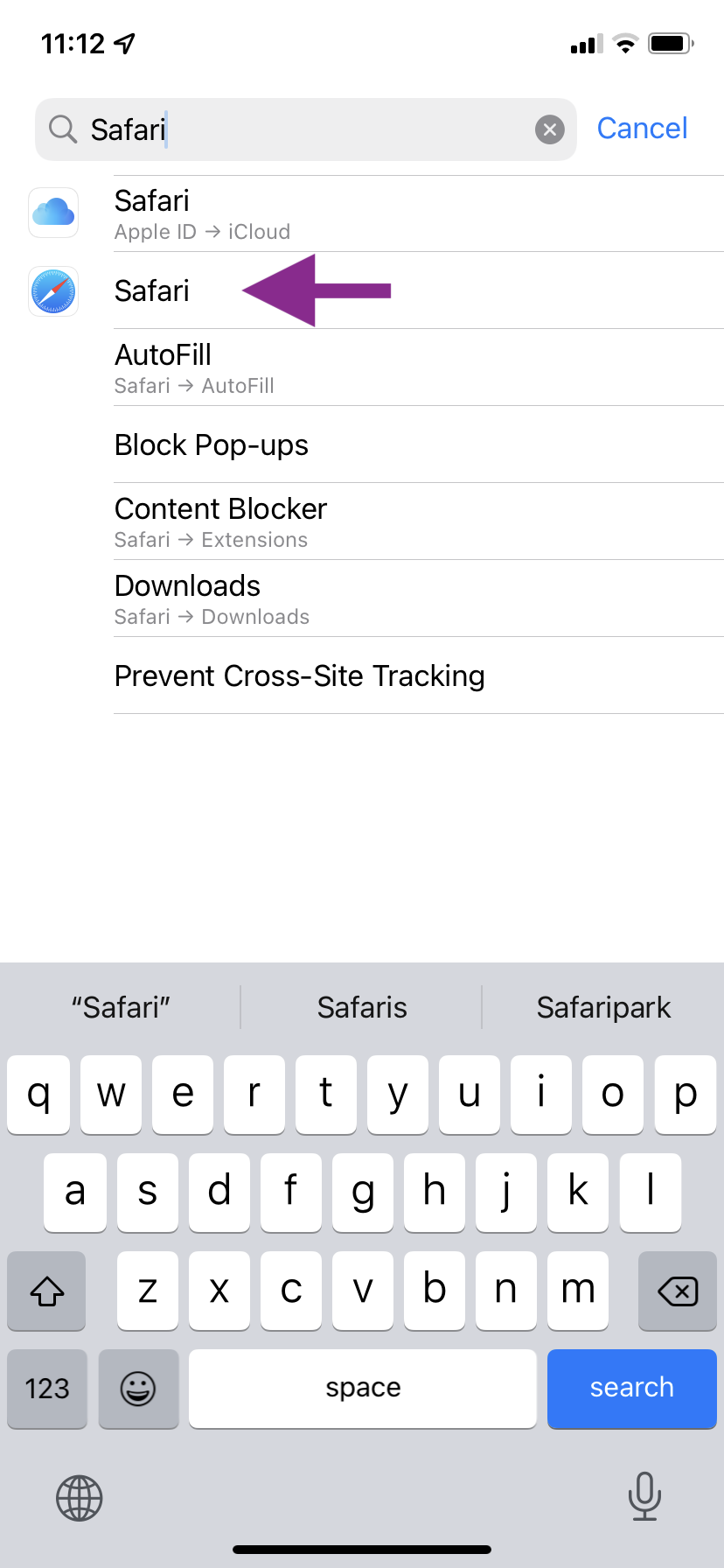 Identify Safari Settings
